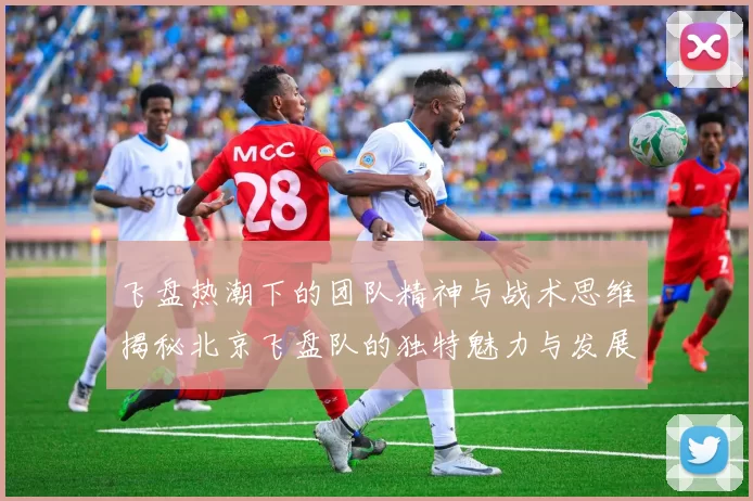 飞盘热潮下的团队精神与战术思维揭秘北京飞盘队的独特魅力与发展之路MBA