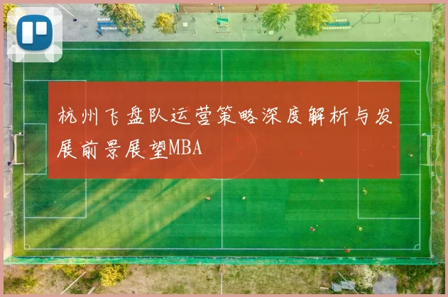 杭州飞盘队运营策略深度解析与发展前景展望MBA