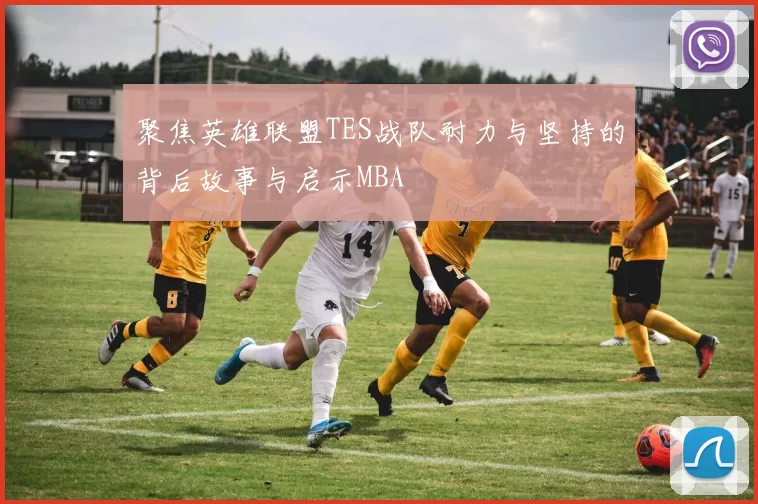 聚焦英雄联盟TES战队耐力与坚持的背后故事与启示MBA