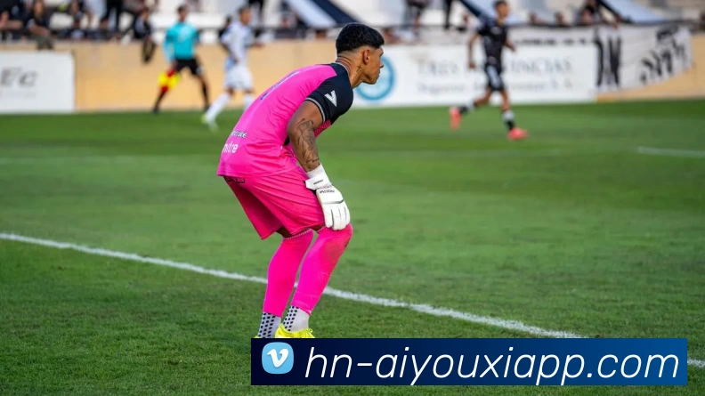 爱游戏官网服务体系